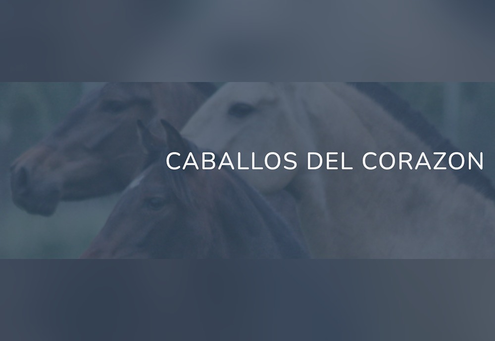 My Brothers and&nbsp;Sisters